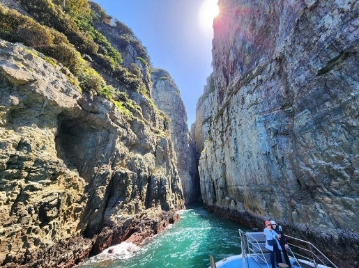 ���� ����5