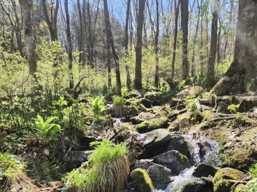 ���� ����4