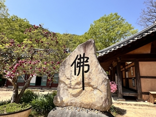 ���� ����7