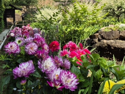 ���� ����7