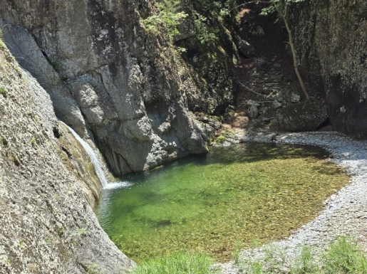 ���� ����4