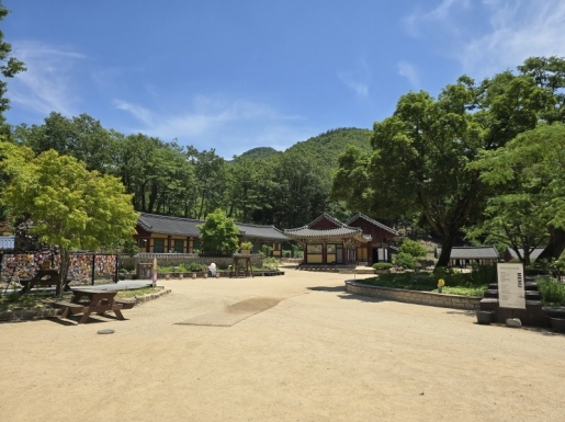 ���� ����3