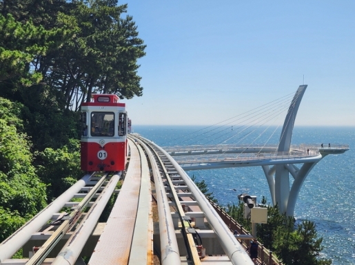 ���� ����5