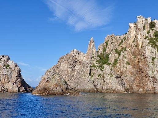 ���� ����1