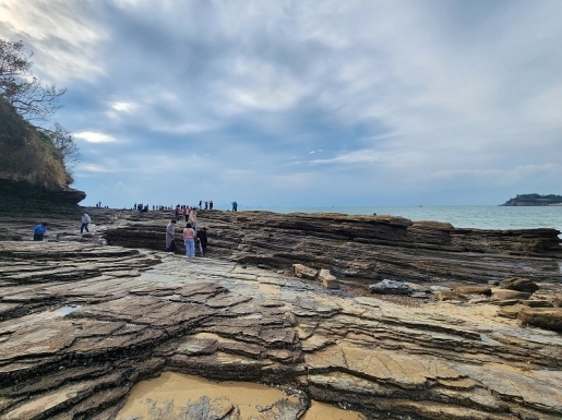 ���� ����4