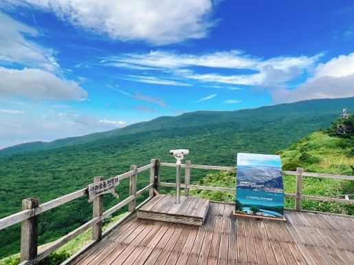 ���� ����4