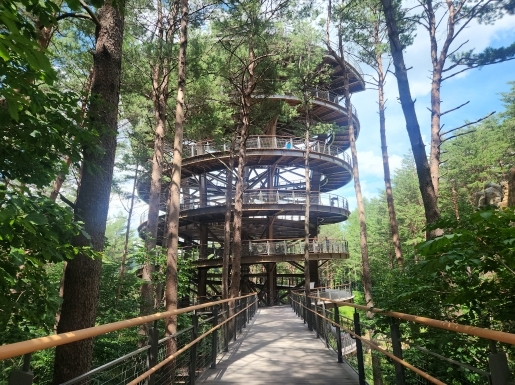 ���� ����6