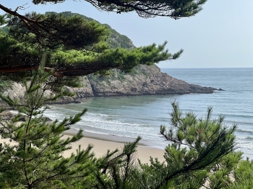 ���� ����4