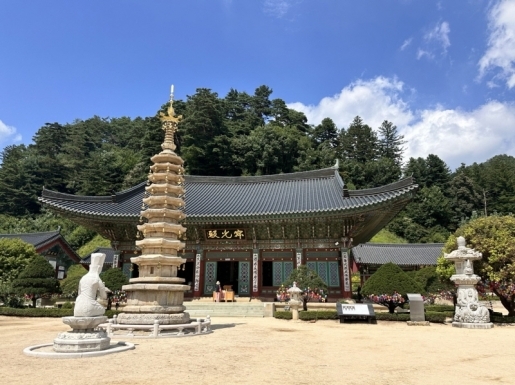 ���� ����3