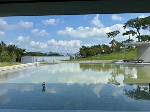 ���� ����5