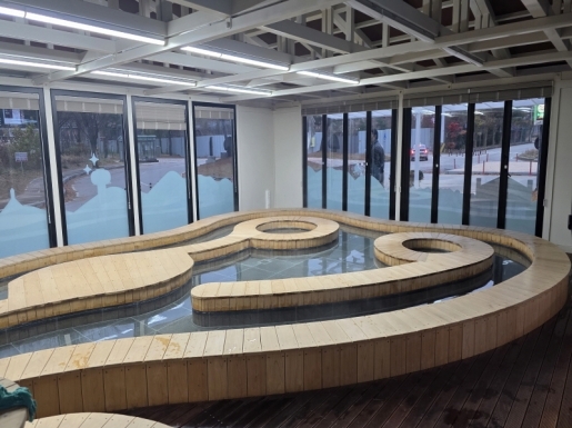 ���� ����6