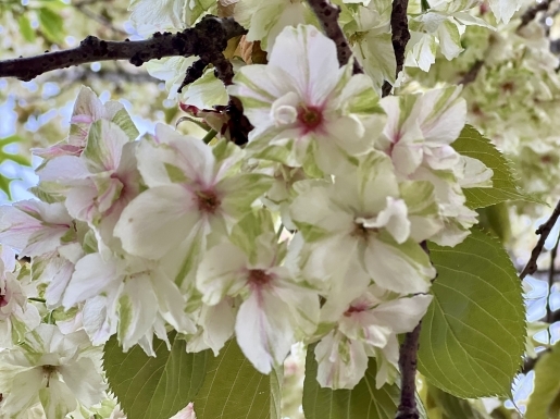 ���� ����2