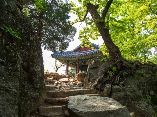 ���� ����6