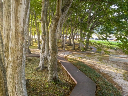 ���� ����6