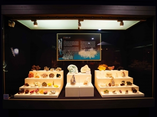 ���� ����4